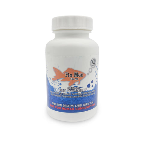 Fish Mox 500mg - 100 count