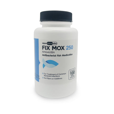 Fish Mox 250mg 100-Capsules